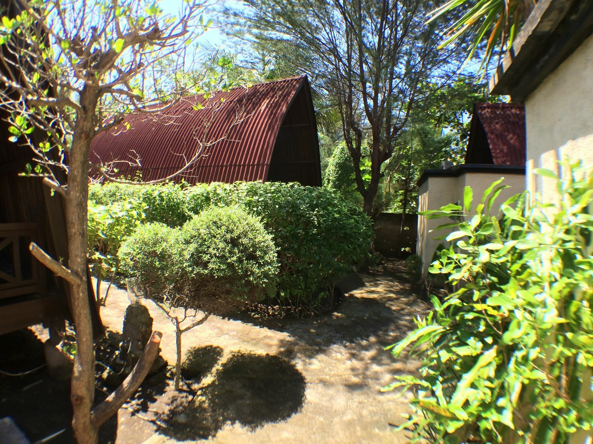 Coral Beach 2 Bungalow ギリ・トラワンガン エクステリア 写真